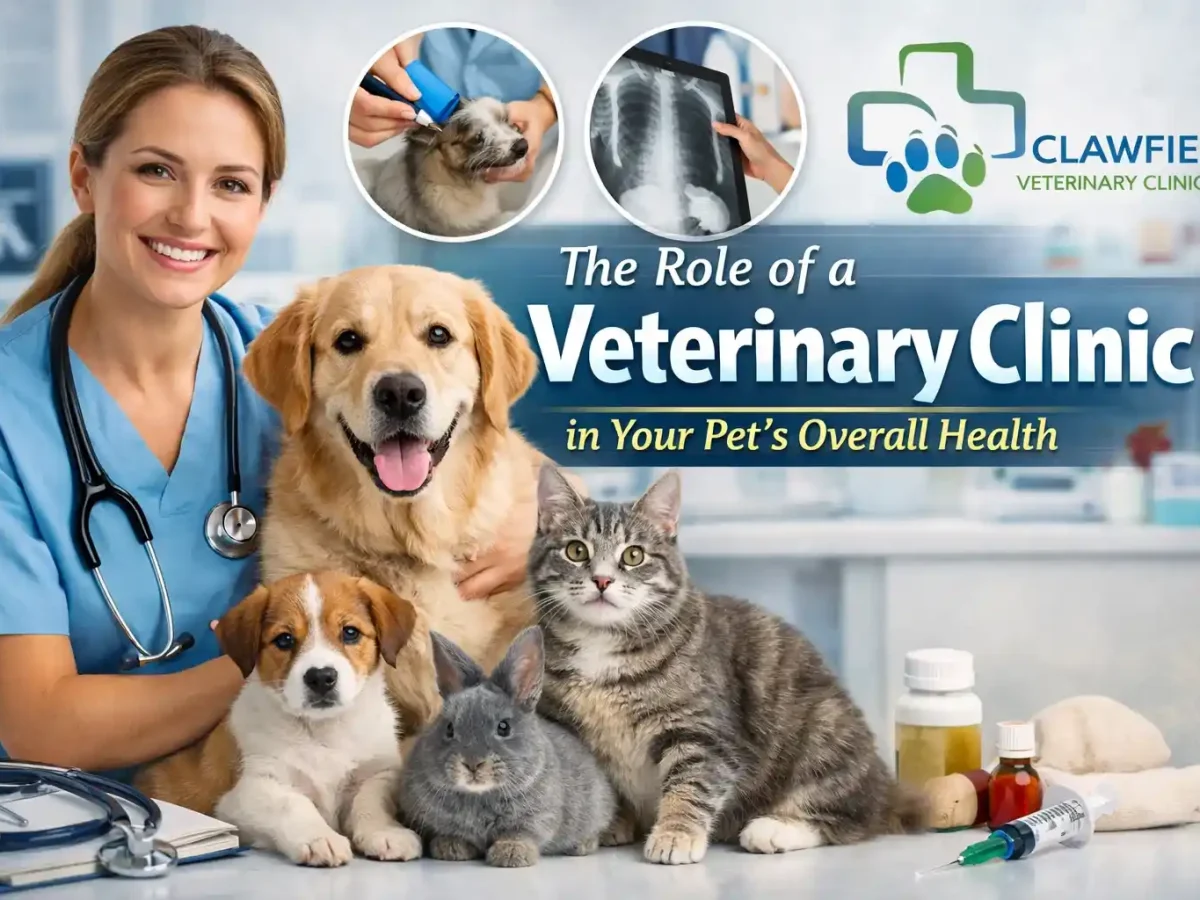The Role of a Veterinary Clinic in Your Pet's Overall Health