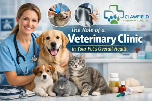 The Role of a Veterinary Clinic in Your Pet’s Overall Health